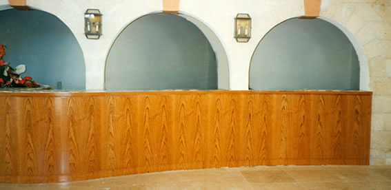 Paneling Interior Design